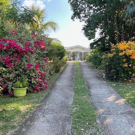 Jardin Des Anges-Bungalows Creoles Et Studio Le Moule Buitenkant foto