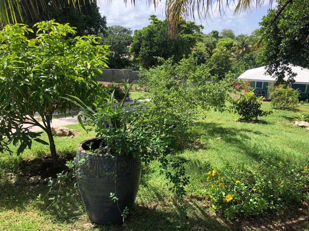 Jardin Des Anges-Bungalows Creoles Et Studio Le Moule Buitenkant foto
