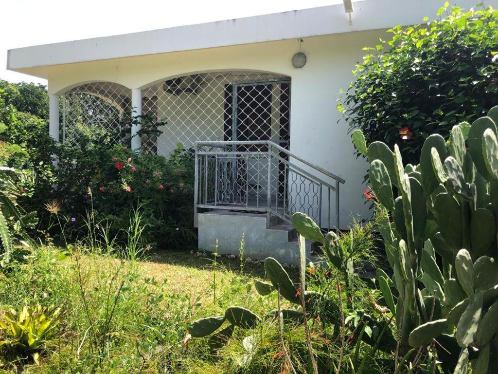 Jardin Des Anges-Bungalows Creoles Et Studio Le Moule Buitenkant foto