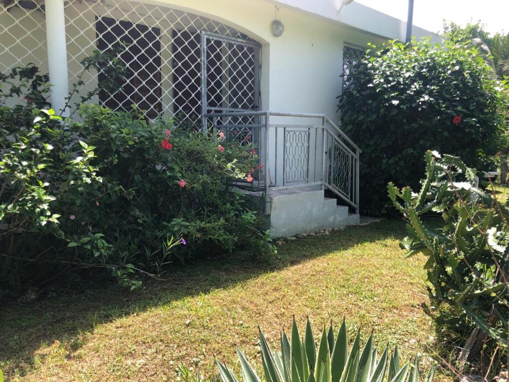 Jardin Des Anges-Bungalows Creoles Et Studio Le Moule Buitenkant foto
