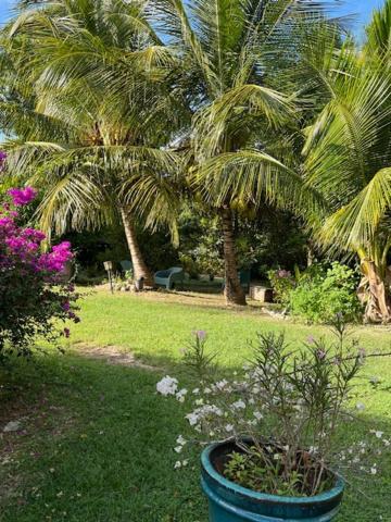 Jardin Des Anges-Bungalows Creoles Et Studio Le Moule Buitenkant foto