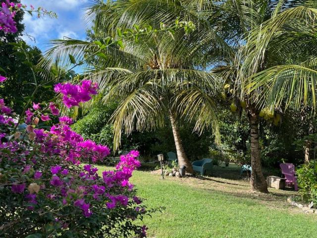 Jardin Des Anges-Bungalows Creoles Et Studio Le Moule Buitenkant foto